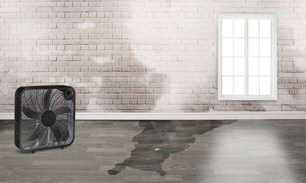  Asbury Park, NJ Water damage restoration Pros