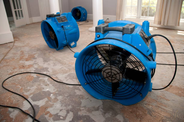 Best Water damage contractors near me  in Asbury Park, NJ