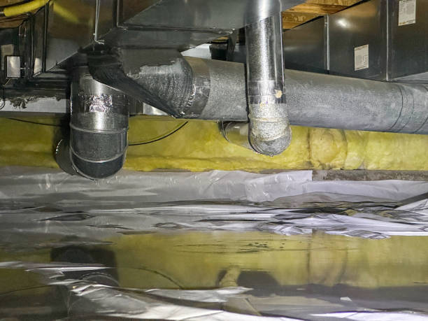Best Professional water damage repair  in Asbury Park, NJ